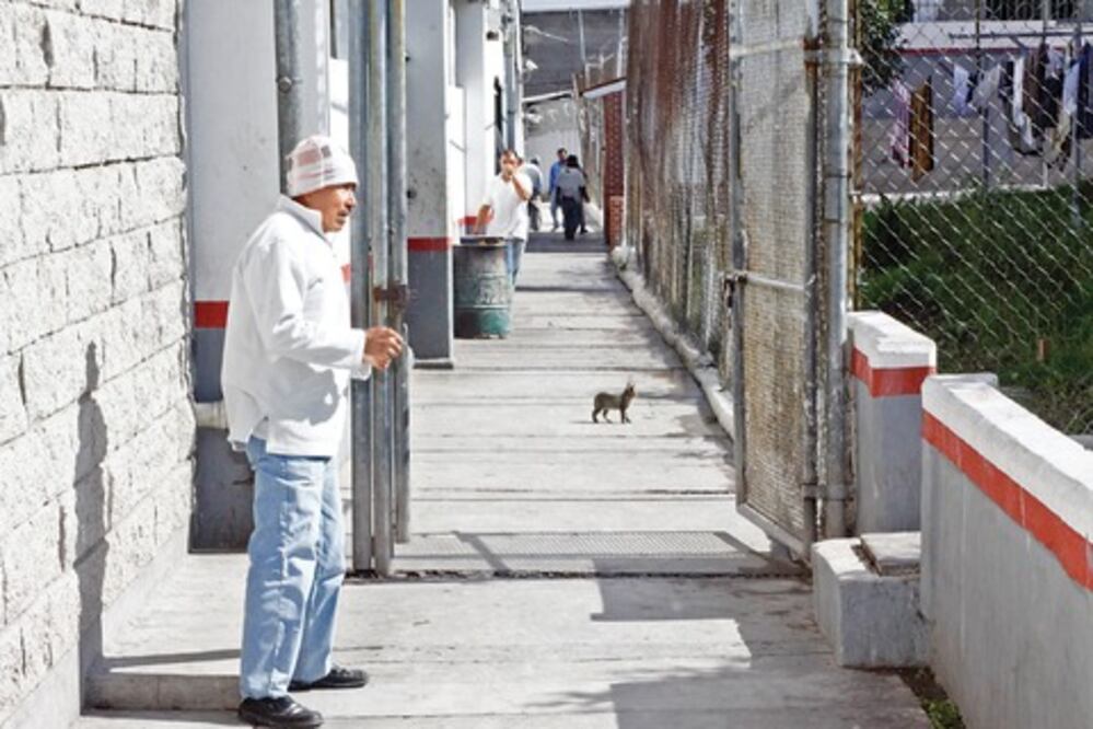 Analizarán 23 casos de presos