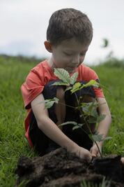 Proponen plantar un árbol por cada niño que nazca en Querétaro