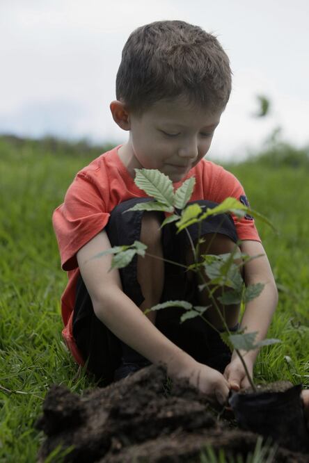 Foto: Archivo. El Universal
