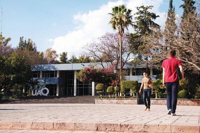 Académicos elaborarán plan de contingencias