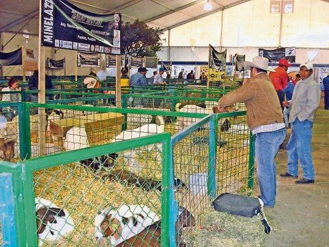 Suspenden espectáculo en Feria