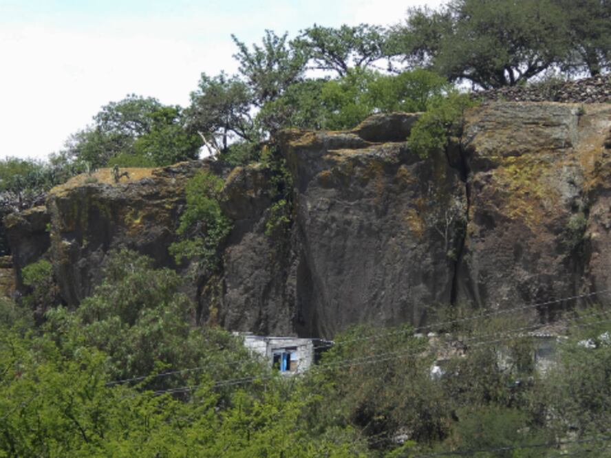 Investiga Profepa tala clandestina