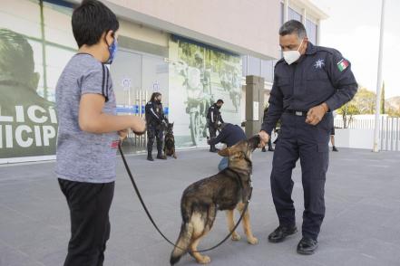 Lomitos policía, grandes aliados para la seguridad en Querétaro