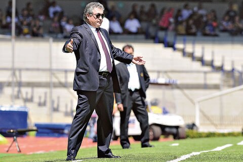 Gallos Blancos, sin miedo al Puma