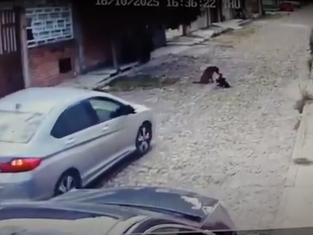 FOTO. CAPTURA DE PANTALLA