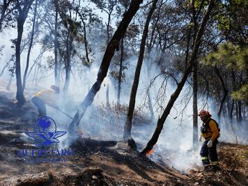 Suman 60 incendios en zonas de preservación ecológica