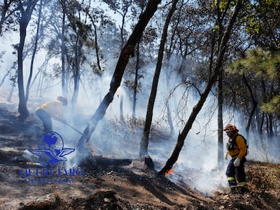 Querétaro suma 93 incendios forestales