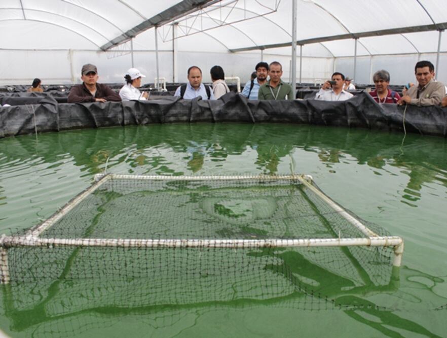 Recibe UAQ a Investigadores 