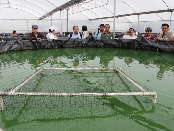 Recibe UAQ a Investigadores