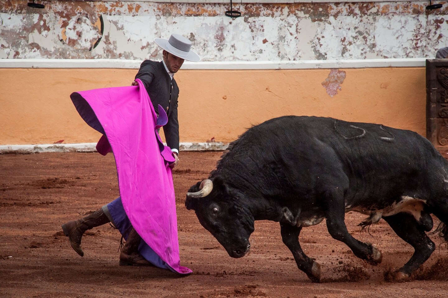 A celebrar las Fiestas Patrias en Provincia Juriquilla