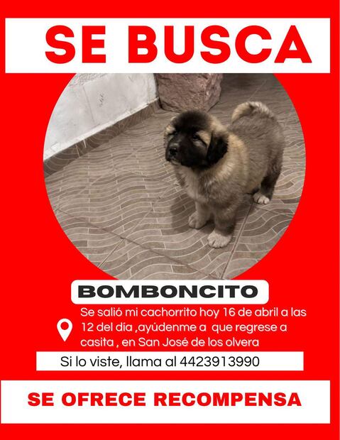 FOTO. TOMADA DE FACEBOOK