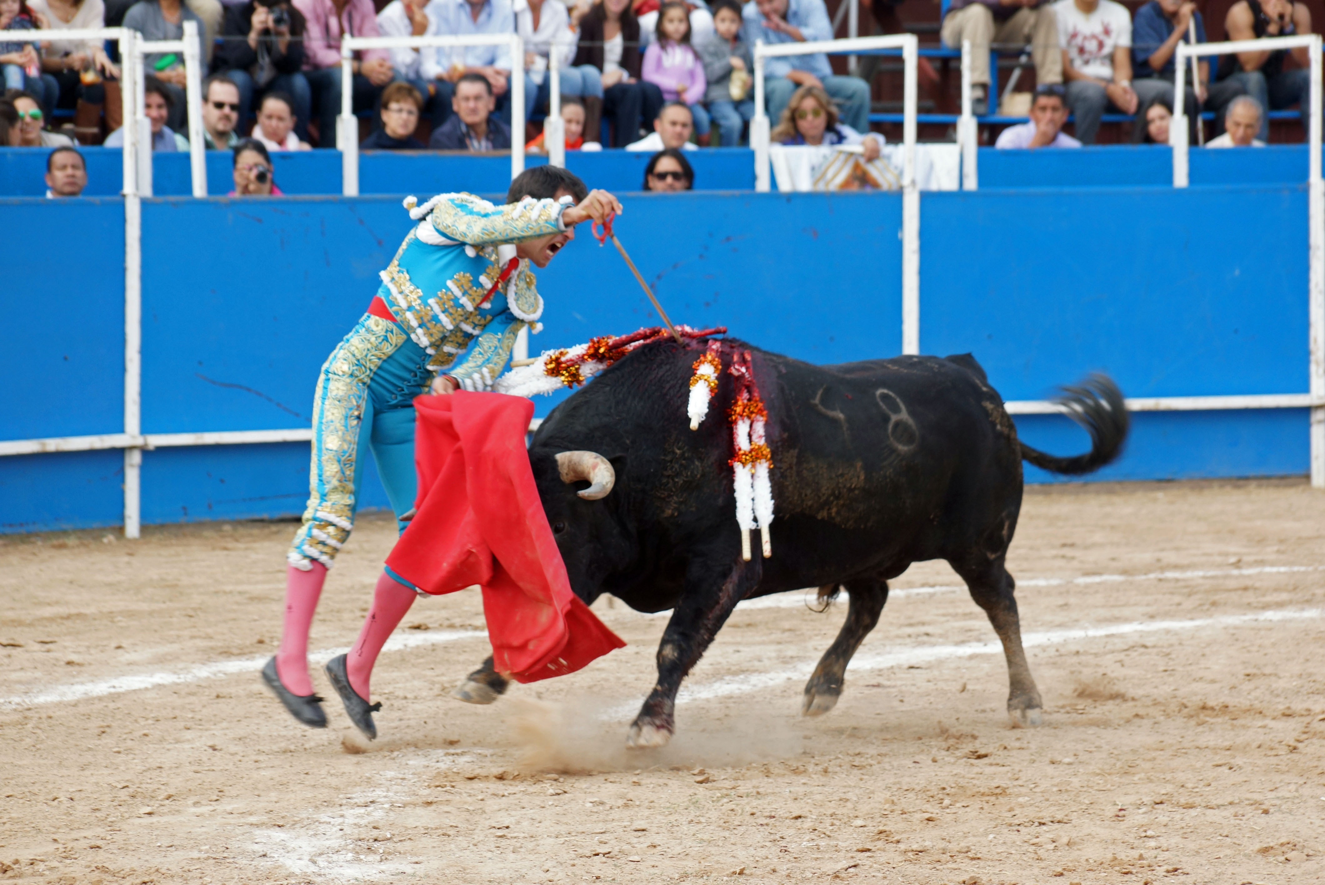 "El Cejas” resultó el gran triunfador 