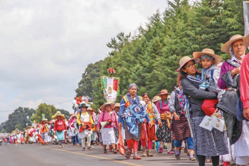 Aplican operativo de protección contra riesgos sanitarios