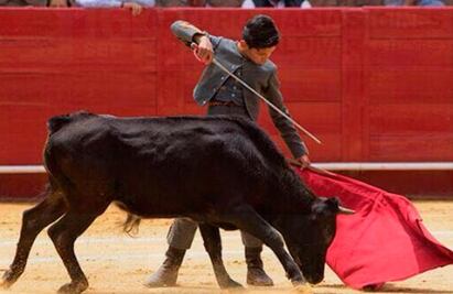 Gran novillada en SJR