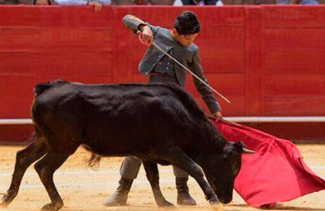 Gran novillada en SJR