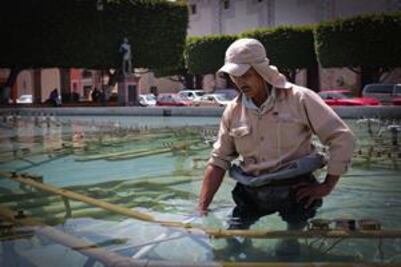 Danza entre moho y limpieza