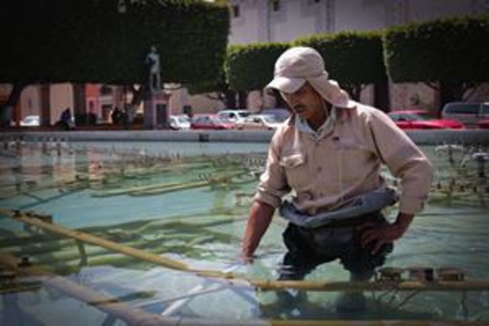 Danza entre moho y limpieza