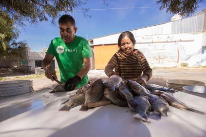 Falta agua en las presas para la actividad pesquera en Querétaro