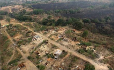 Recuperan reserva forestal que operaba como aserradero clandestino en Chiapas