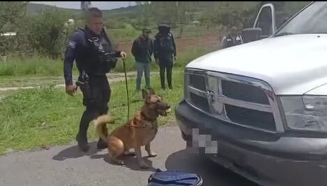 Ares lo vuelve a hacer; localiza droga en los límites de Querétaro 