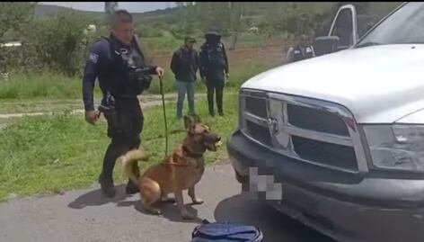 Ares lo vuelve a hacer; localiza droga en los límites de Querétaro