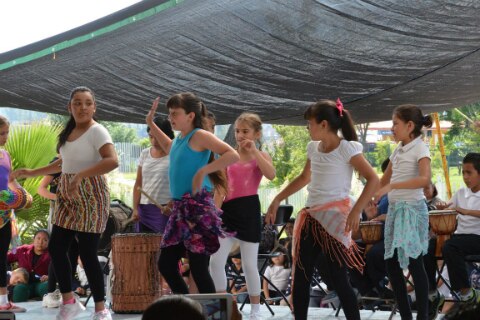 Alista cursos de verano Instituto del Deporte