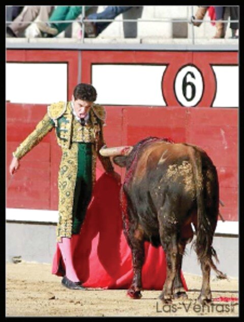 Año de éxitos para Campos