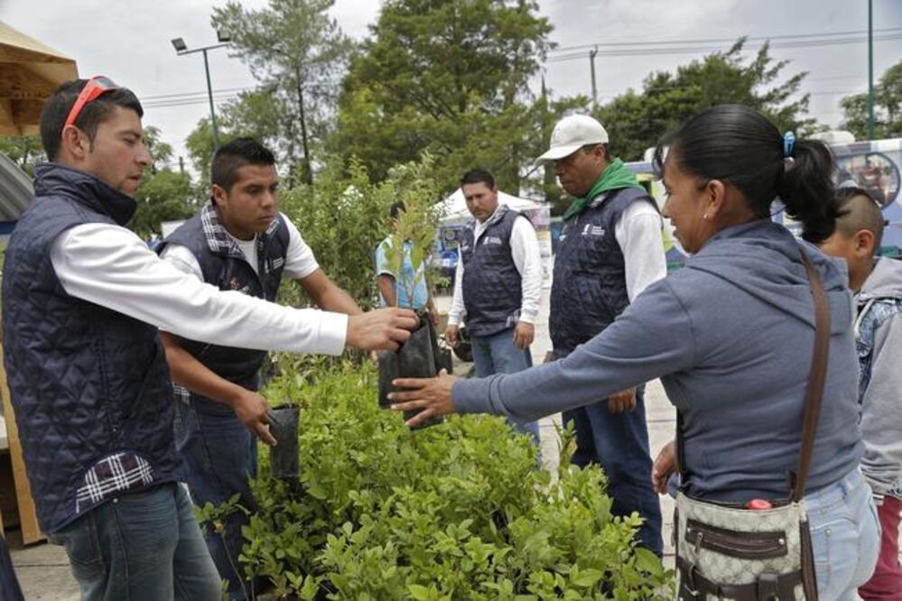 La entrega de apoyos beneficiará a mil 174 familias productoras, lo que representó una inversión superior a los 2.8 mdp. (ESPECIAL)