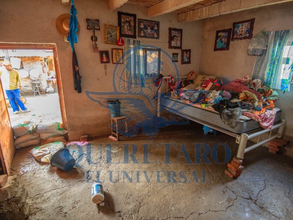 FOTO. FERNANDO CAMACHO