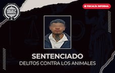 Sentencian a 2 años de prisión a Marco Antonio “N” por lesionar a una perrita en Querétaro