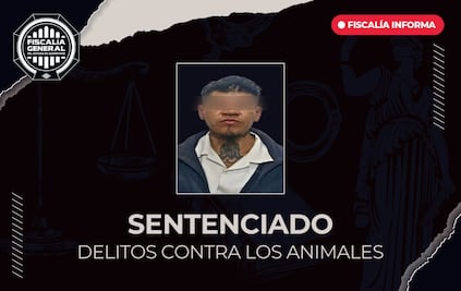 Sentencian a 2 años de prisión a Marco Antonio “N” por lesionar a una perrita en Querétaro