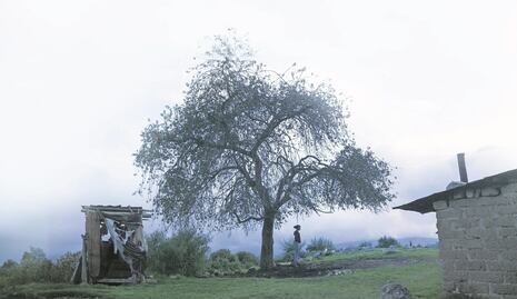 Anuncian Programa Chimal del festival DOQUMENTA 2024