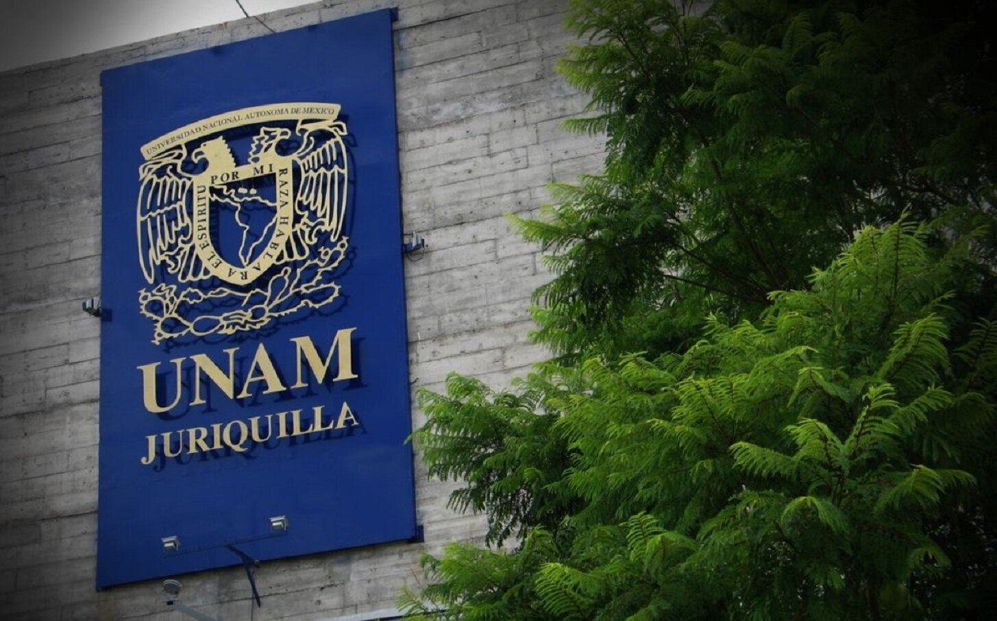 UNAM Juriquilla anuncia convocatoria para licenciatura