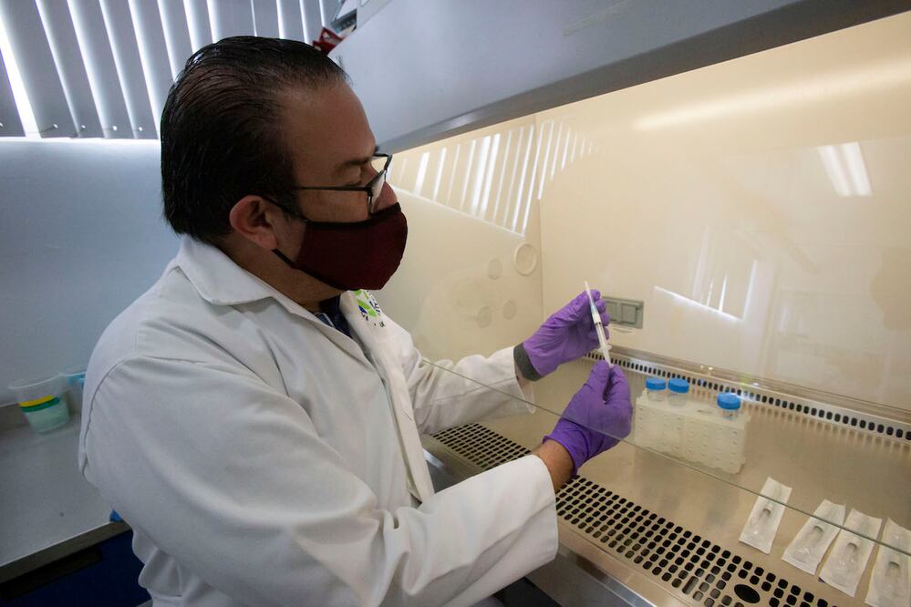 Foto: Demian Chávez