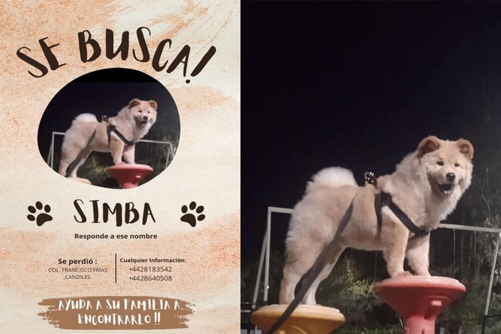 Foto: Tomada de Facebook