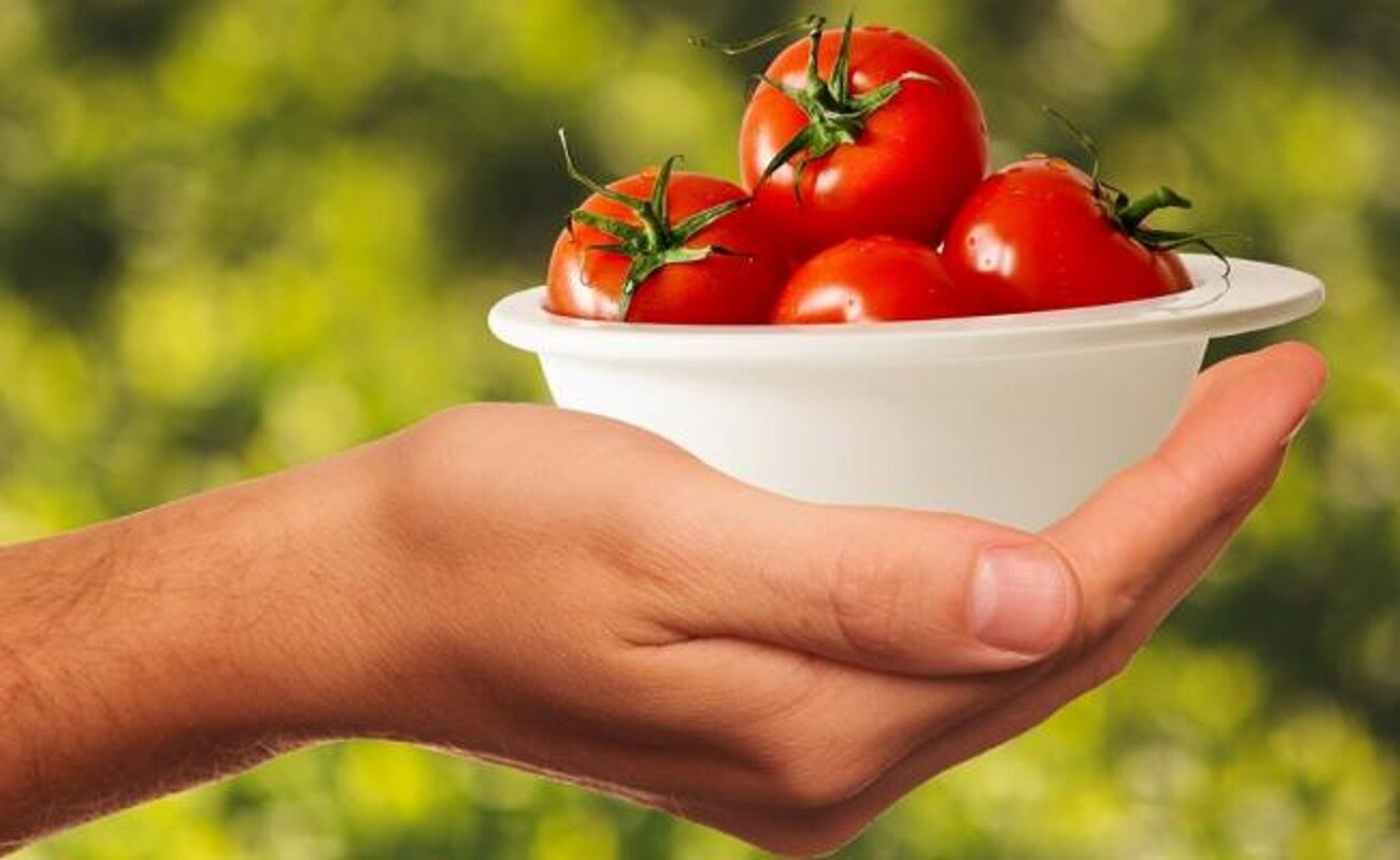 Alimentos que cuidan tu piel