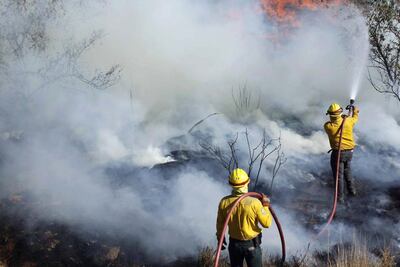 Querétaro, entre los 10 estados con más incendios forestales: Conafor