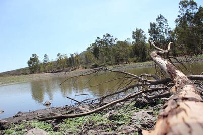 Avanza ley de biodiversidad en Congreso queretano
