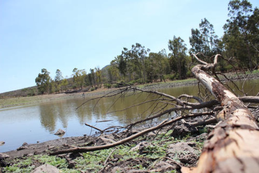 Avanza ley de biodiversidad en Congreso queretano