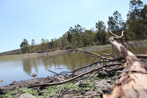 Avanza ley de  biodiversidad en Congreso queretano