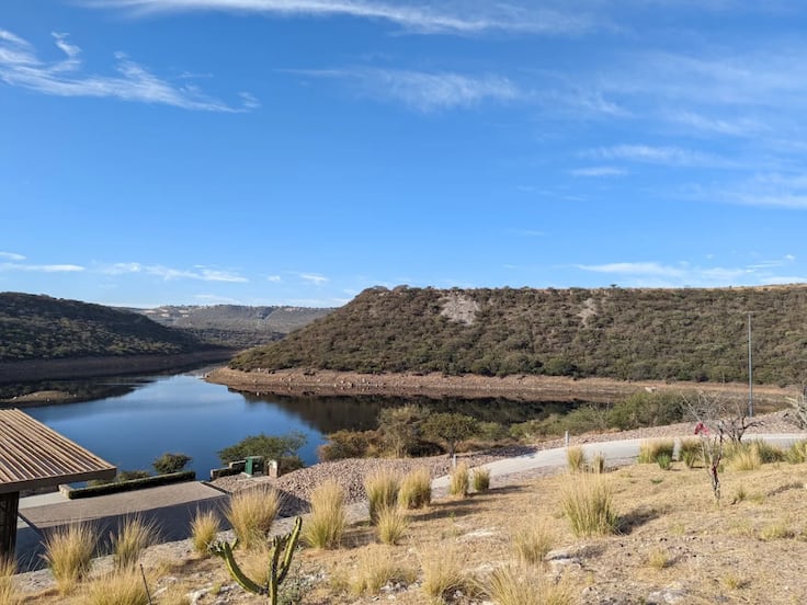 Terminan de retirar peces muertos en la presa El Batán