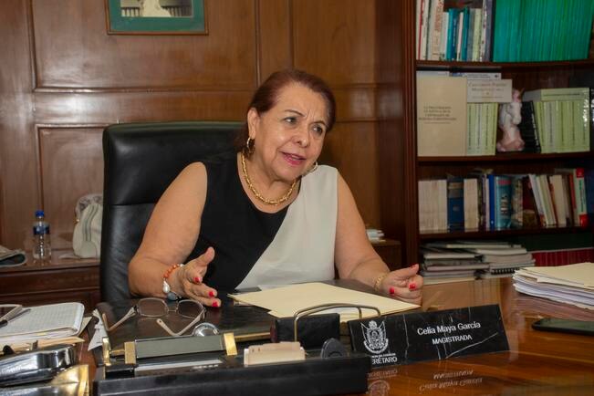 Morena no convencerá a Celia Maya de renunciar a pensión