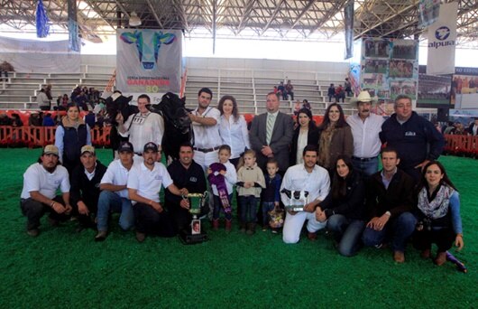 Jalisco gana con la mejor vaca