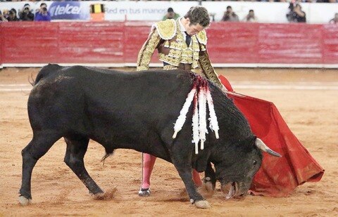 Una oreja para Octavio García