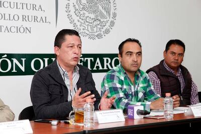 Prevén alza de 20% en venta de marisco