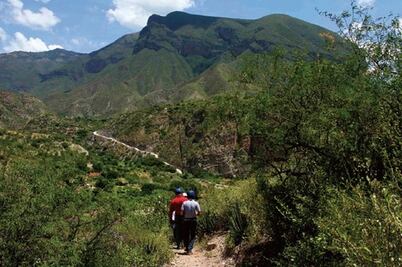 Viajeros capturarán carbono en la Sierra