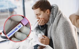 Brote de hantavirus: ¿cuáles son los principales síntomas del virus?