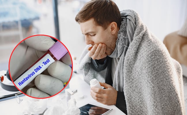 Brote de hantavirus: ¿cuáles son los principales síntomas del virus?
