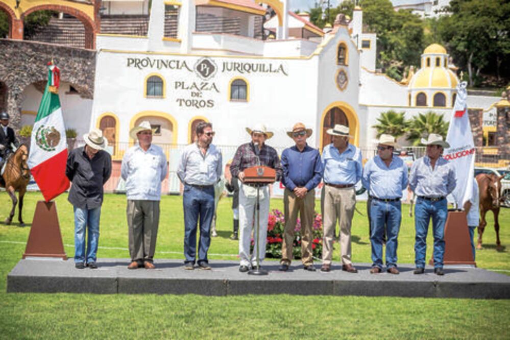 Caballo lusitano enorgullece al estado