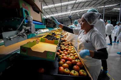 Alimentos, segundo sector más importante